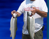 Ontario Monster Muskie Fishing
